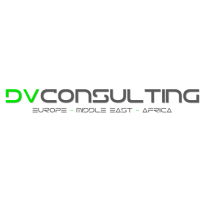 (Português) DV Consulting
